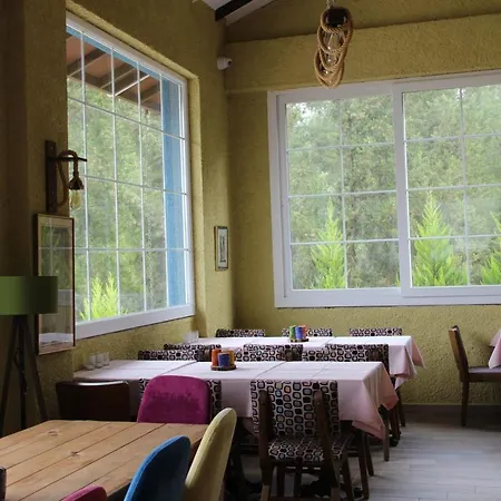 Serene Apart Surrounded By Nature In Kusadasi Bed & Breakfast