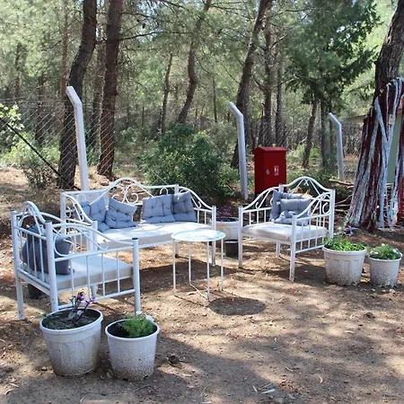 Serene Apart Surrounded By Nature In Kusadasi Bed & Breakfast